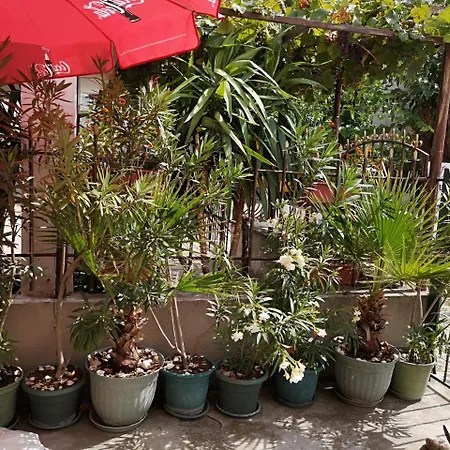 Guest house Ropotamo Primorsko