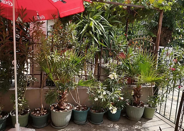 Къща за гости къща за гости ропотамо Приморско